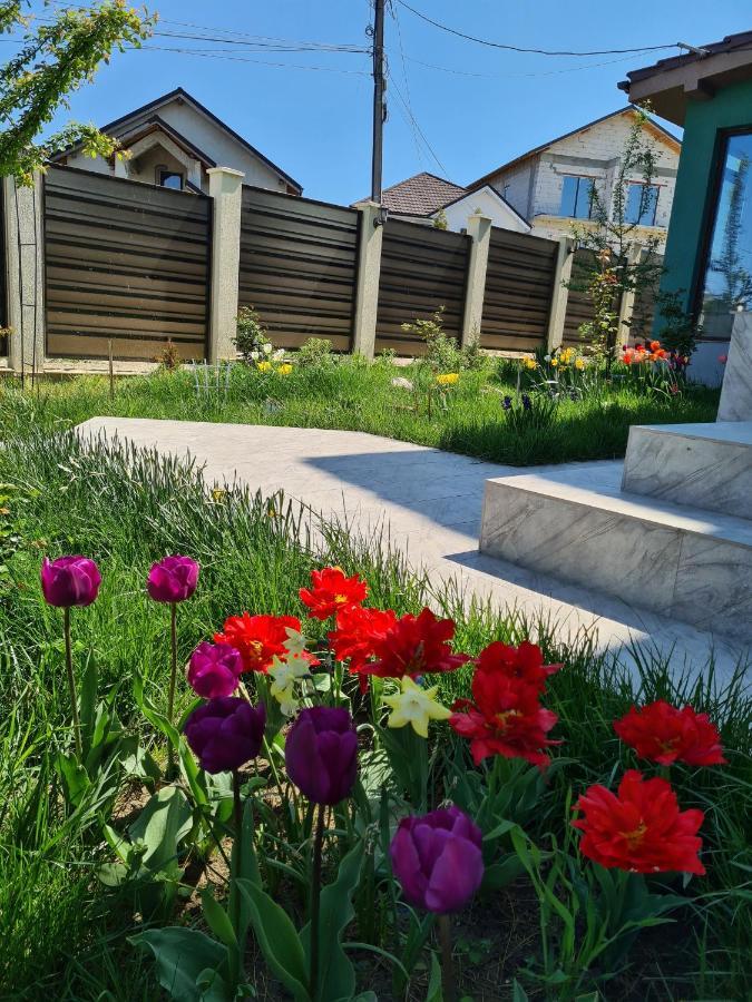 Vila Fara Nume Неводарі Екстер'єр фото